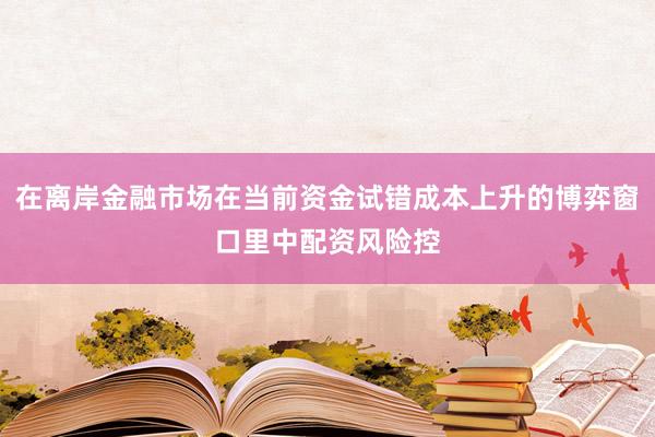 在离岸金融市场在当前资金试错成本上升的博弈窗口里中配资风险控